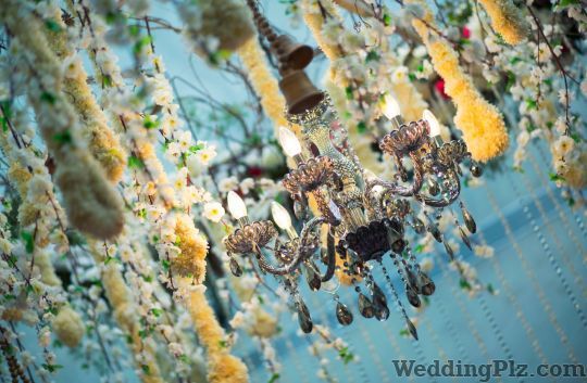 Studio Zeppic Photographers and Videographers weddingplz