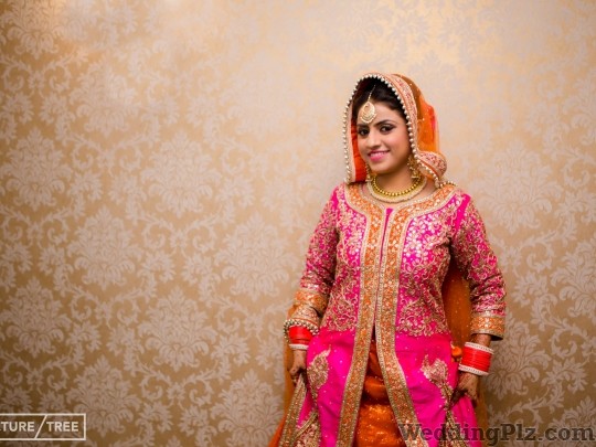 Picture Mantra Photographers and Videographers weddingplz