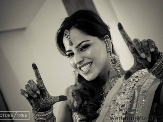 Picture Mantra Photographers and Videographers weddingplz