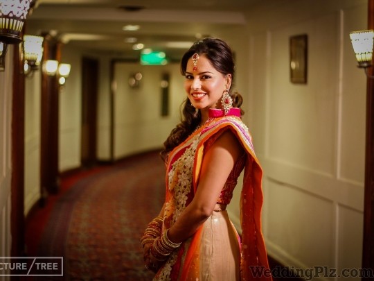 Picture Mantra Photographers and Videographers weddingplz