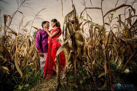 Elglance Photography Photographers and Videographers weddingplz