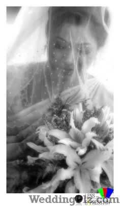 Lens and Expression Photographers and Videographers weddingplz
