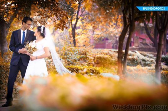 Splendid Fotos Photographers and Videographers weddingplz