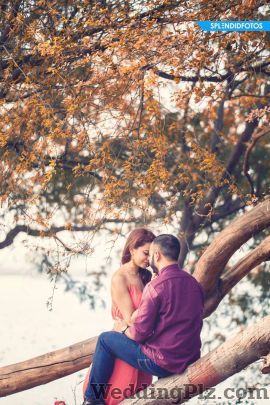 Splendid Fotos Photographers and Videographers weddingplz
