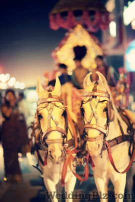 Amit Pandey Photography Photographers and Videographers weddingplz
