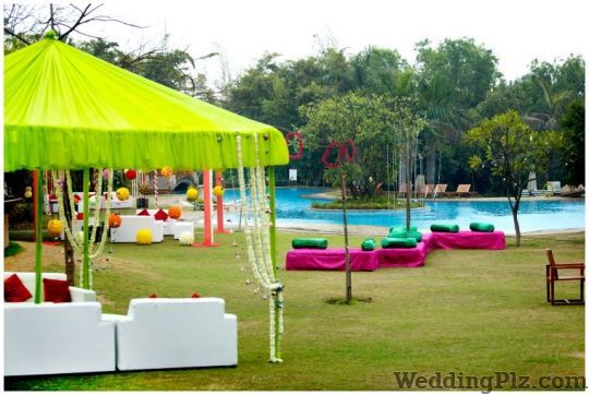 Chasing Light Fotography Photographers and Videographers weddingplz