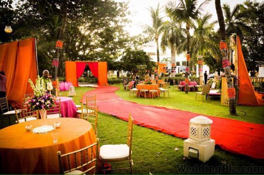 Bliss Expressions Potography Photographers and Videographers weddingplz