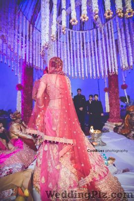 CoolBluez Photography Photographers and Videographers weddingplz
