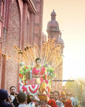 CoolBluez Photography Photographers and Videographers weddingplz