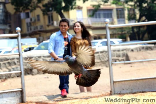 Model Studio Photographers and Videographers weddingplz