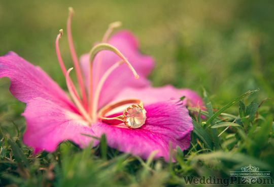 DreamTales Studio Photographers and Videographers weddingplz
