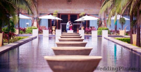 Dolphin Photography Photographers and Videographers weddingplz
