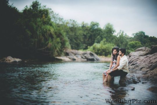 Dolphin Photography Photographers and Videographers weddingplz