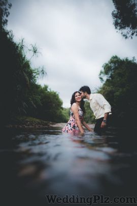 Dolphin Photography Photographers and Videographers weddingplz