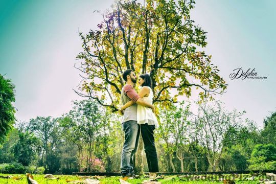Dolphin Photography Photographers and Videographers weddingplz
