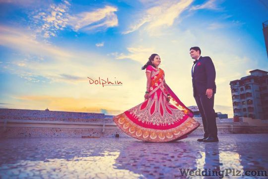 Dolphin Photography Photographers and Videographers weddingplz