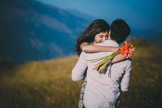 Dolphin Photography Photographers and Videographers weddingplz