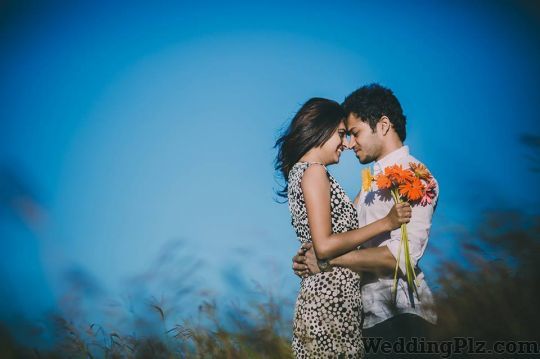 Dolphin Photography Photographers and Videographers weddingplz