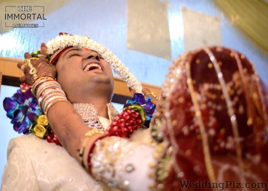 The Immortal Memories Photographers and Videographers weddingplz