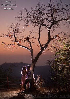 The Immortal Memories Photographers and Videographers weddingplz
