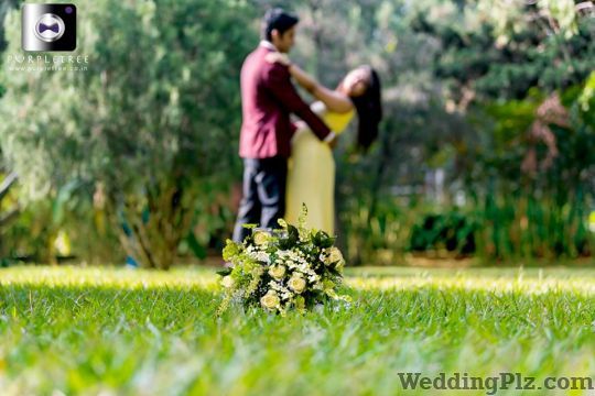 Purple Tree Photographers and Videographers weddingplz