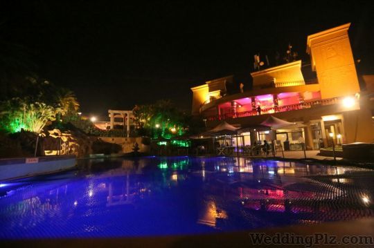 Anil Anande Photography Photographers and Videographers weddingplz