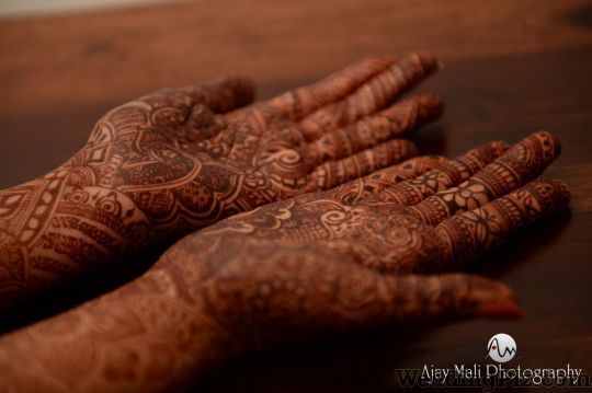Ajay Mali Photography Photographers and Videographers weddingplz