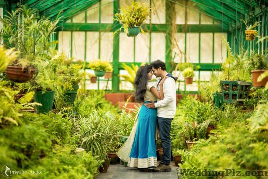Pristine Clicks Photographers and Videographers weddingplz