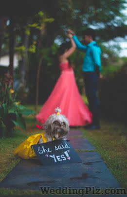 The Sunny Side Up Photographers and Videographers weddingplz