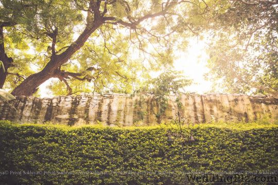 Priyal Sokhiya Photography Photographers and Videographers weddingplz
