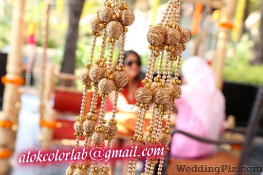 Alok Color Lab Photographers and Videographers weddingplz
