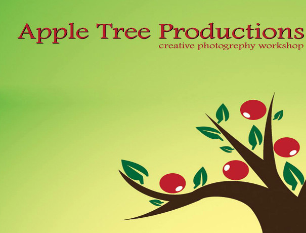 Apple Tree Studio Photographers and Videographers weddingplz