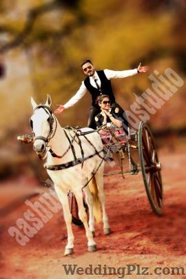 Ashu Digital Photo Studio Photographers and Videographers weddingplz
