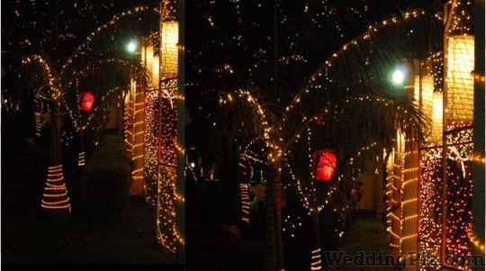 Dynamic Digital Photographers and Videographers weddingplz
