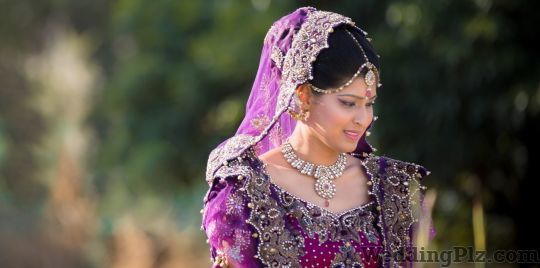 Zoom Photo Color Lab and Digital Studio Photographers and Videographers weddingplz
