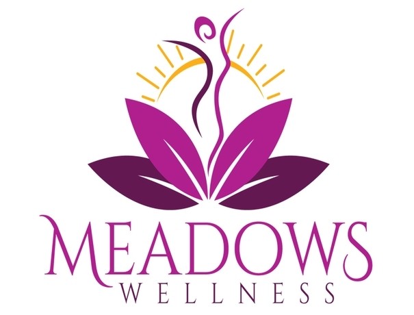 Meadows Wellness Spa weddingplz