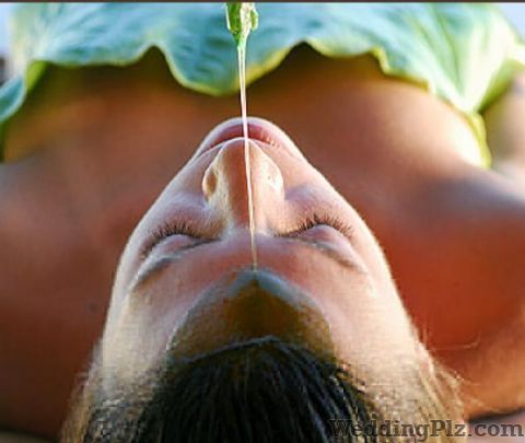 Ayurvedic Health Care Centre Spa weddingplz