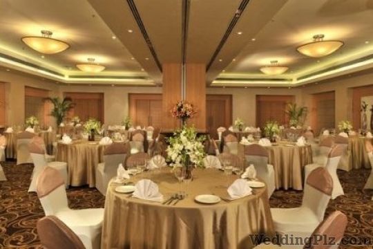 Park Plaza Banquets weddingplz