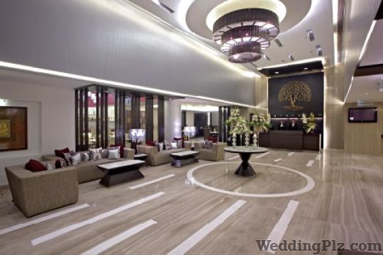 Country Inns and Suites By Carlson Banquets weddingplz