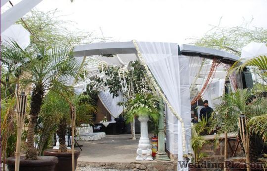 Narula Tent and Decorators Tent House weddingplz