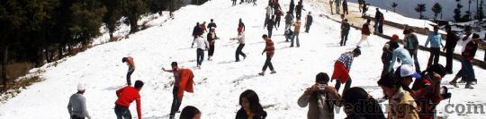 JK Travels India Travel Agents weddingplz