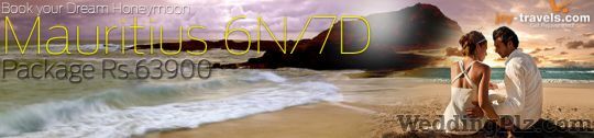 Joy Travels Pvt. Ltd. Travel Agents weddingplz