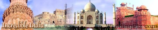 Lets Travel Pvt. Ltd. Travel Agents weddingplz