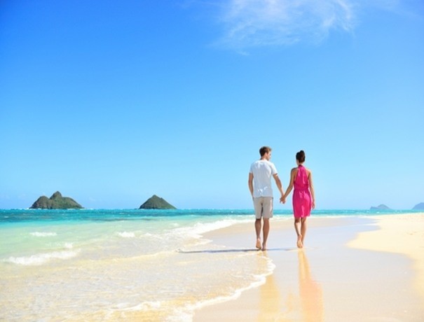 Lotus Trans Travels Pvt. Ltd.  Travel Agents weddingplz