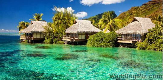 My Exotic Holidays Travel Agents weddingplz
