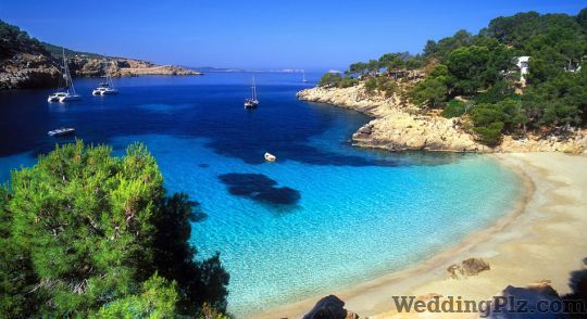 My Exotic Holidays Travel Agents weddingplz