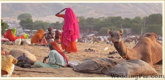 Nature Tour India Travel Agents weddingplz