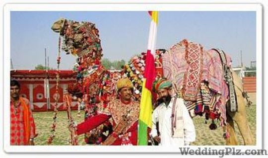 Optima Travels Travel Agents weddingplz