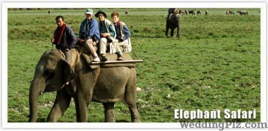 Optima Travels Travel Agents weddingplz