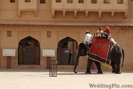 Oriental Travels Pvt. Ltd. Travel Agents weddingplz
